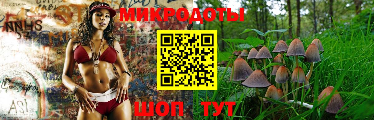 Псилоцибиновые грибы мухоморы Нижний Тагил