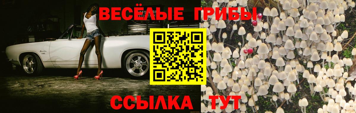 Галлюциногенные грибы мухоморы  Вход с VPN  Нижний Тагил 